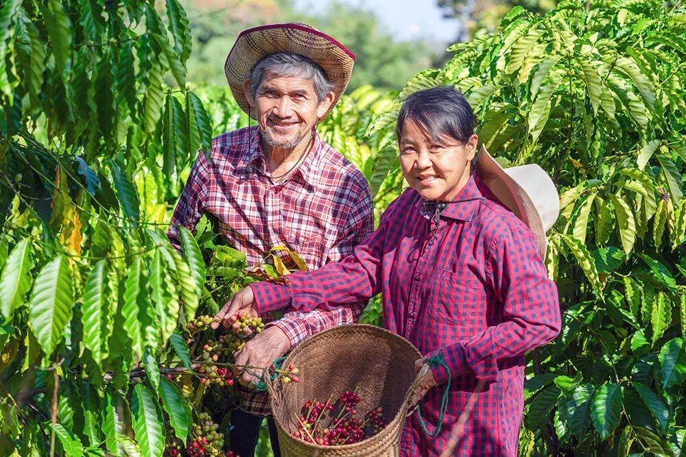 场景营造已进入「共情20」阶段！九游会J9入口吸引Z世代：城市(图11)